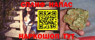 круглые Тара